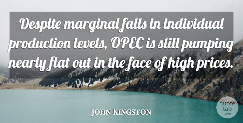 John Kingston Quote About Despite, Face, Falls, Flat, High: Despite Marginal Falls In Individual...