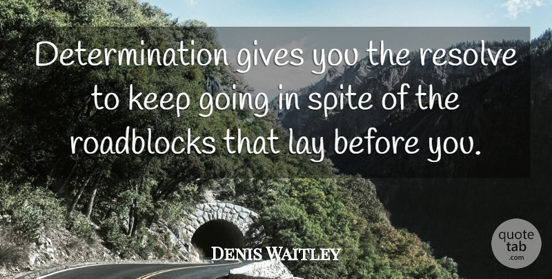 Denis Waitley Quote About Determination, Giving, Willpower: Determination Gives You The Resolve...
