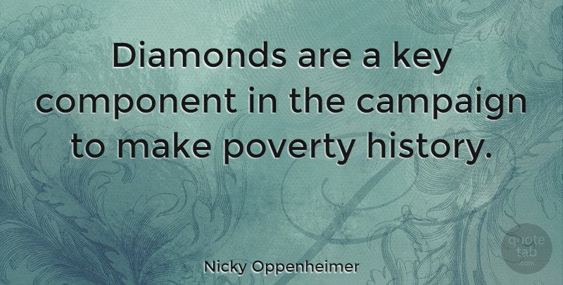 Nicky Oppenheimer Quote About Campaign, Component, History, Key: Diamonds Are A Key Component...