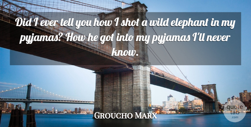 Groucho Marx Quote About Elephant, Shot, Wild: Did I Ever Tell You...