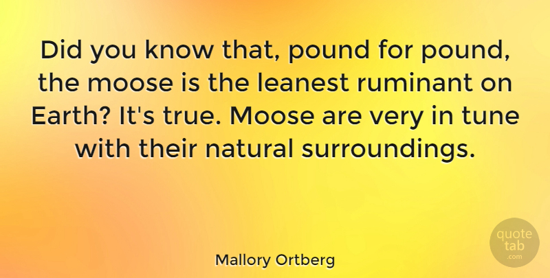 Mallory Ortberg Quote About Pound, Tune: Did You Know That Pound...