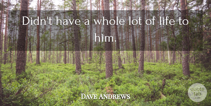 Dave Andrews Quote About Life: Didnt Have A Whole Lot...