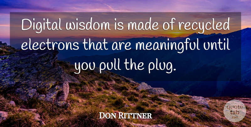 Don Rittner Quote About Meaningful, Digital, Internet: Digital Wisdom Is Made Of...