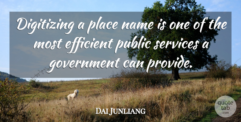 Dai Junliang Quote About Efficient, Government, Name, Public, Services: Digitizing A Place Name Is...