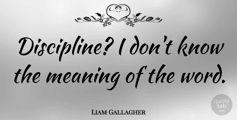 Liam Gallagher Quote About Oasis, Discipline, Superhero: Discipline I Dont Know The...