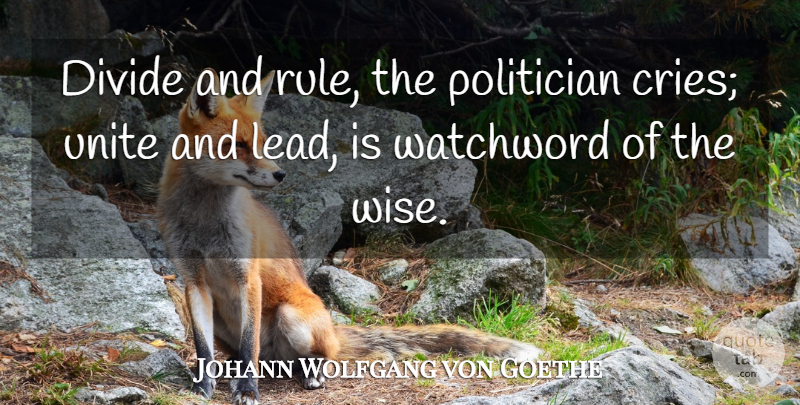 Johann Wolfgang von Goethe Quote About Wise, Wisdom, Literature: Divide And Rule The Politician...