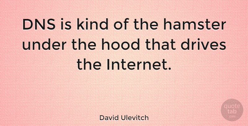 David Ulevitch Quote About Kind, Internet, Hamsters: Dns Is Kind Of The...