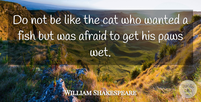 William Shakespeare Quote About Cat, Paws, Wanted: Do Not Be Like The...