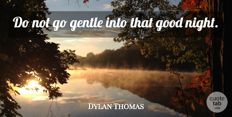 Dylan Thomas Quote About Tattoo, Good Night, Goodnight: Do Not Go Gentle Into...
