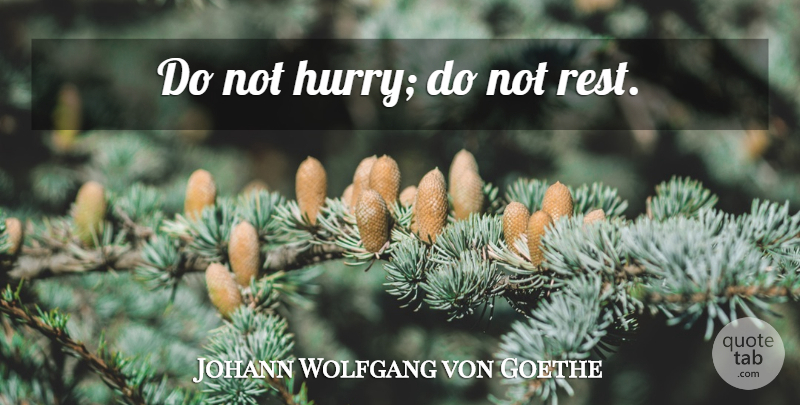 Johann Wolfgang von Goethe Quote About Inspirational: Do Not Hurry Do Not...
