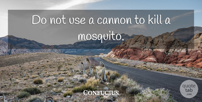 Confucius Quote About Love, Inspirational, Funny: Do Not Use A Cannon...