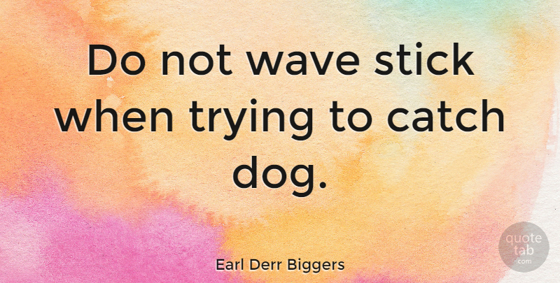 Earl Derr Biggers Quote About Dog, Trying, Sticks: Do Not Wave Stick When...