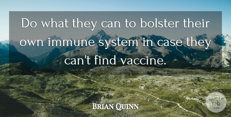 Brian Quinn Quote About Bolster, Case, Immune, System: Do What They Can To...
