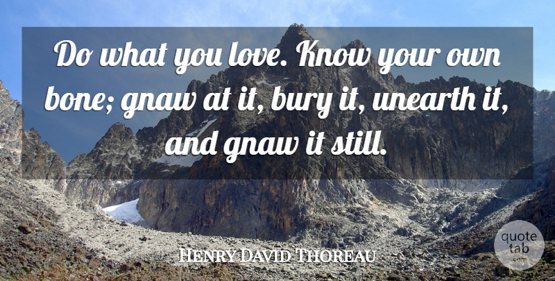 Henry David Thoreau Quote About Love, Passion, Hypocrisy: Do What You Love Know...