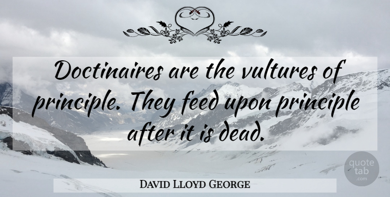 David Lloyd George Quote About Principles, Conviction, Vulture: Doctinaires Are The Vultures Of...