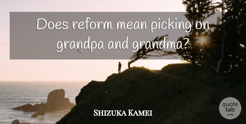 Shizuka Kamei Quote About Grandpa, Mean, Picking, Reform: Does Reform Mean Picking On...