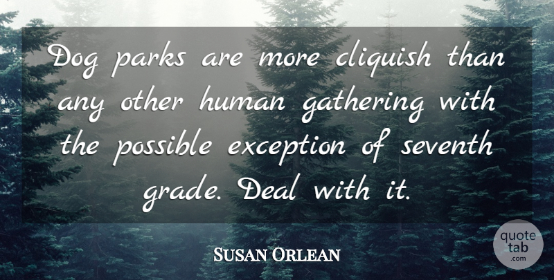 Susan Orlean Quote About Dog, Parks, Gathering: Dog Parks Are More Cliquish...