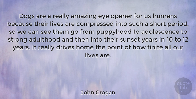 John Grogan Quote About Dog, Strong, Sunset: Dogs Are A Really Amazing...