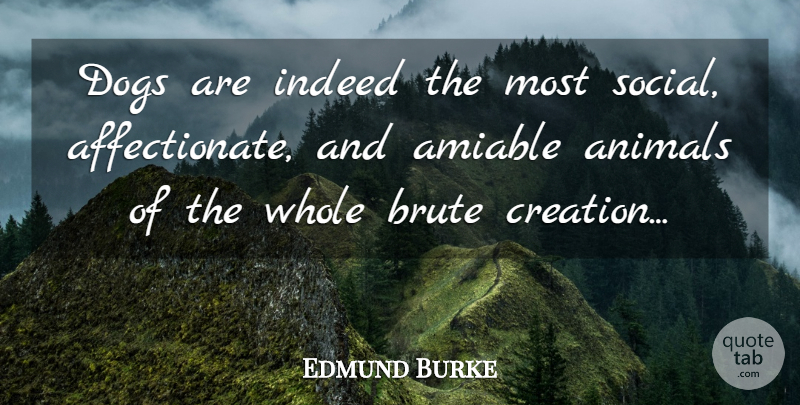 Edmund Burke Quote About Dog, Animal, Creation: Dogs Are Indeed The Most...