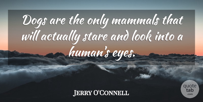 Jerry O'Connell Quote About Dog, Eye, Looks: Dogs Are The Only Mammals...