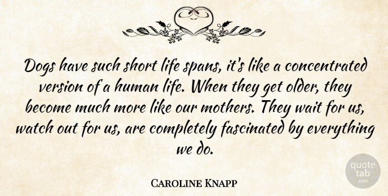 Caroline Knapp Quote About Mother, Dog, Short Life: Dogs Have Such Short Life...