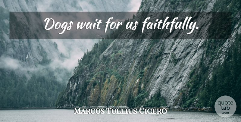 Marcus Tullius Cicero Quote About Cute, Dog, Waiting: Dogs Wait For Us Faithfully...