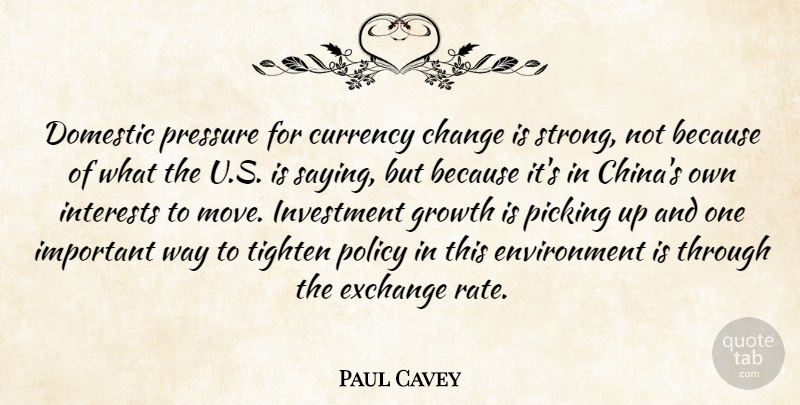 Paul Cavey Quote About Change, Currency, Domestic, Environment, Exchange: Domestic Pressure For Currency Change...