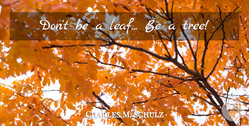 Charles M. Schulz Quote About Tree, Leafs: Dont Be A Leaf Be...
