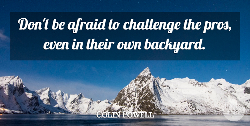 Colin Powell Quote About Military, Challenges, Backyards: Dont Be Afraid To Challenge...