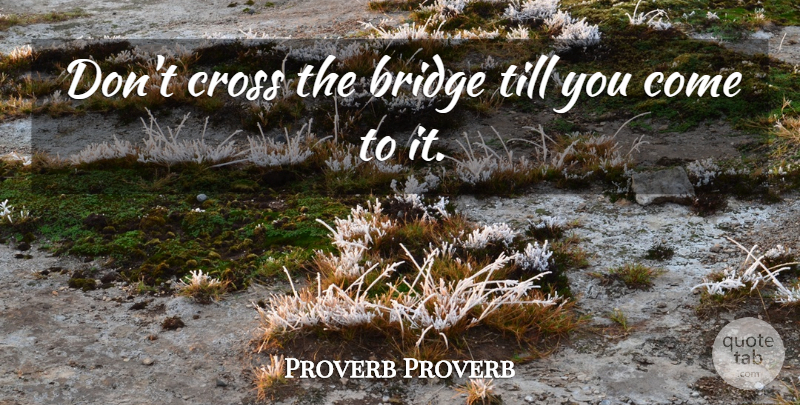 Proverb Proverb Quote About Bridge, Cross, Till: Dont Cross The Bridge Till...
