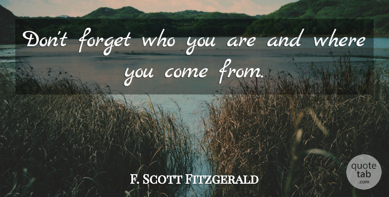 F. Scott Fitzgerald Quote About Where You Come, Forget, Who You Are: Dont Forget Who You Are...