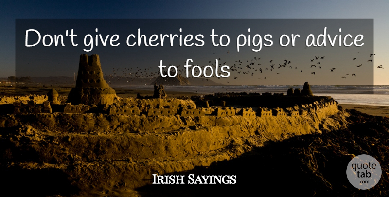 Irish Sayings Quote About Advice, Cherries, Fools, Pigs, Scholars And Scholarship: Dont Give Cherries To Pigs...