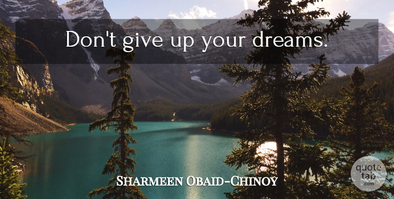 Sharmeen Obaid-Chinoy Quote About Dream, Giving Up, Dont Give Up: Dont Give Up Your Dreams...