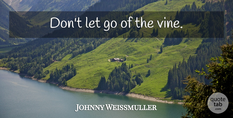 Johnny Weissmuller Quote About Letting Go, Simplicity, Vines: Dont Let Go Of The...