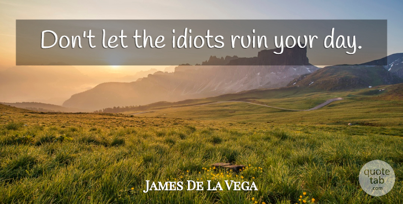 James De La Vega Quote About Ruins, Idiot: Dont Let The Idiots Ruin...