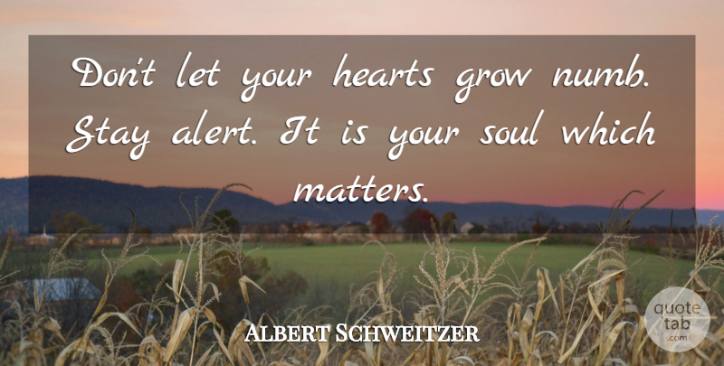 Albert Schweitzer Quote About Heart, Soul, Matter: Dont Let Your Hearts Grow...
