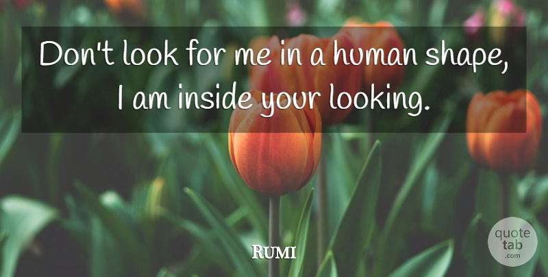 Rumi Quote About Looks, Shapes, Humans: Dont Look For Me In...