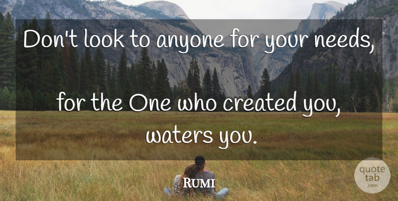 Rumi Quote About Water, Needs, Looks: Dont Look To Anyone For...