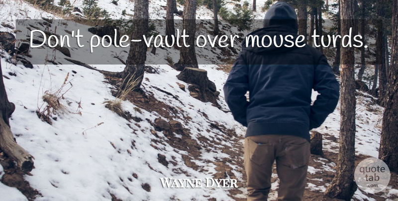 Wayne Dyer Quote About Spiritual, Vaults, Pole Vault: Dont Pole Vault Over Mouse...