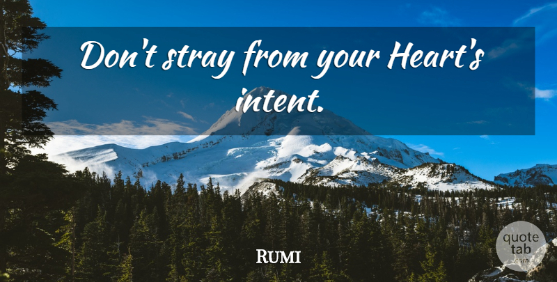 Rumi Quote About Heart: Dont Stray From Your Hearts...