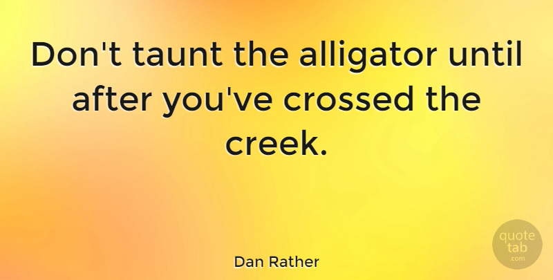 Dan Rather Quote About Wisdom, Creeks, Alligators: Dont Taunt The Alligator Until...