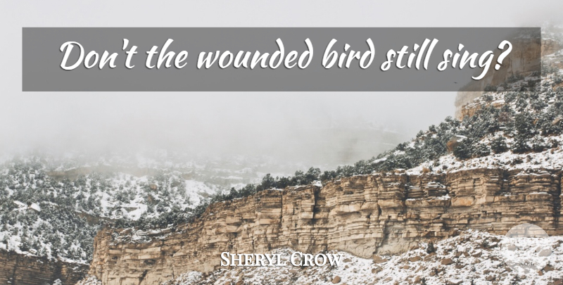Sheryl Crow Quote About Bird, Unanswered Questions, Stills: Dont The Wounded Bird Still...