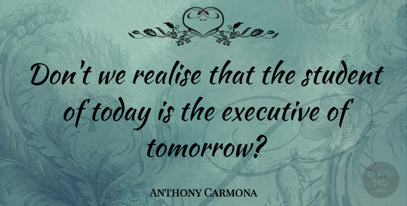 Anthony Carmona Quote About Executive, Realise: Dont We Realise That The...