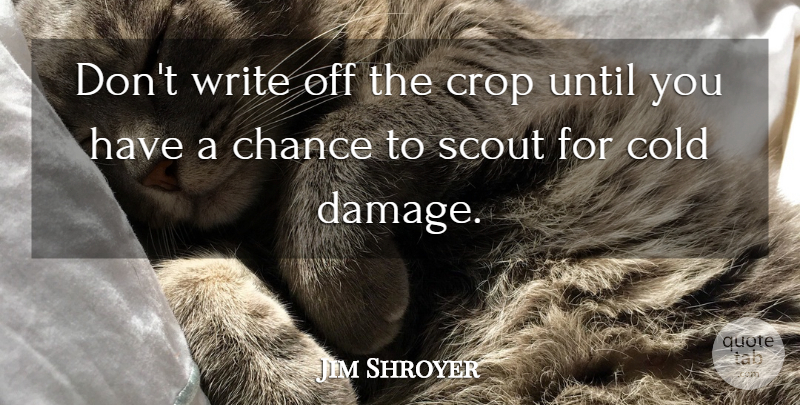 Jim Shroyer Quote About Chance, Cold, Crop, Scout, Until: Dont Write Off The Crop...