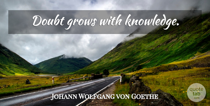 Johann Wolfgang von Goethe Quote About War, Doubt, Grows: Doubt Grows With Knowledge...