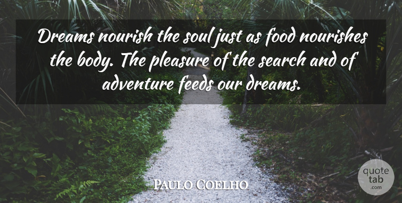 Paulo Coelho Quote About Dream, Adventure, Soul: Dreams Nourish The Soul Just...