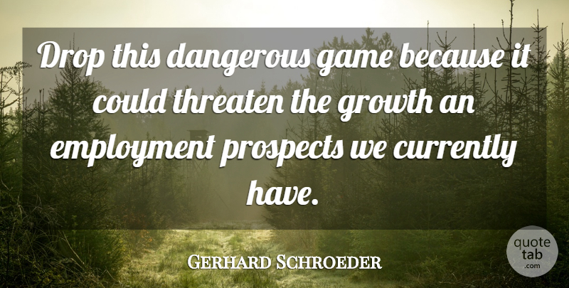 Gerhard Schroeder Quote About Currently, Dangerous, Drop, Employment, Game: Drop This Dangerous Game Because...