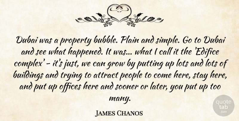 James Chanos Quote About Simple, Dubai, Office: Dubai Was A Property Bubble...