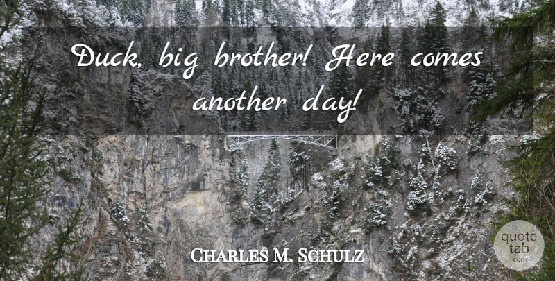 Charles M. Schulz Quote About Brother, Ducks, Another Day: Duck Big Brother Here Comes...