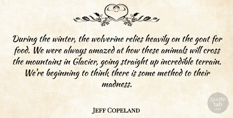 Jeff Copeland Quote About Amazed, Animals, Beginning, Cross, Goat: During The Winter The Wolverine...